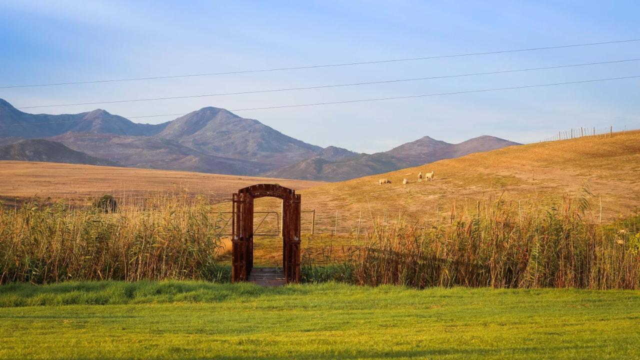 Endless Vineyards At Wildekrans Wine Estate Guest House Botrivier Exterior photo