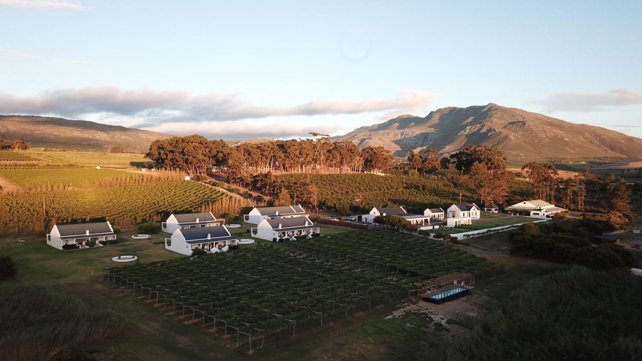 Endless Vineyards At Wildekrans Wine Estate Guest House Botrivier Exterior photo