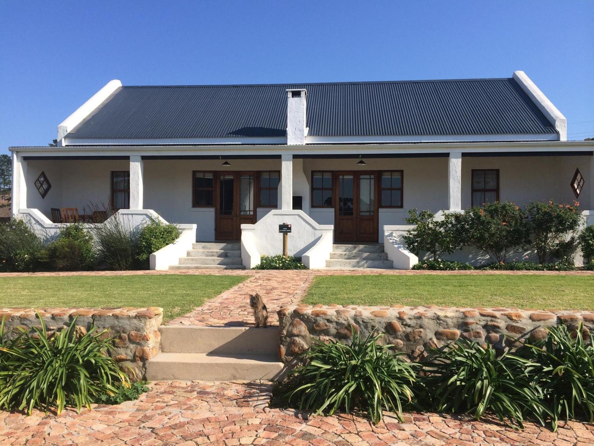 Endless Vineyards At Wildekrans Wine Estate Guest House Botrivier Exterior photo