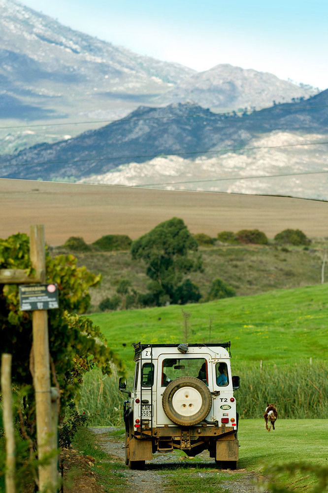 Endless Vineyards At Wildekrans Wine Estate Guest House Botrivier Exterior photo