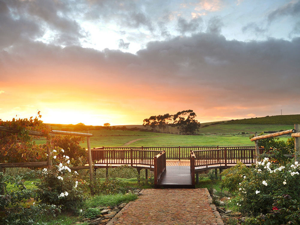 Endless Vineyards At Wildekrans Wine Estate Guest House Botrivier Exterior photo