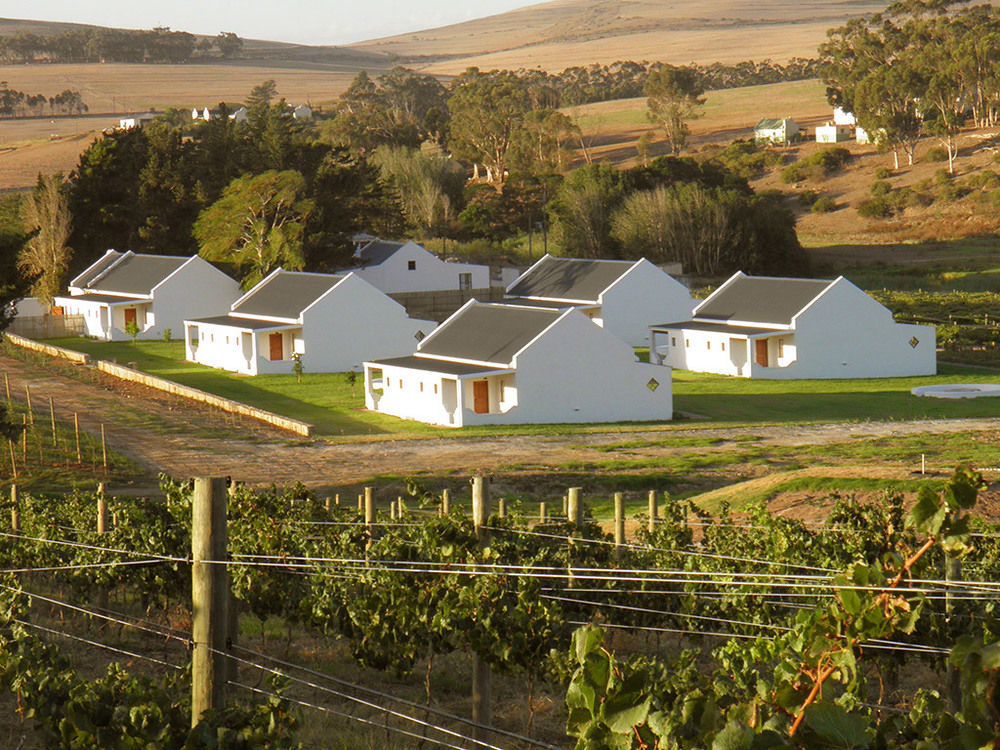 Endless Vineyards At Wildekrans Wine Estate Guest House Botrivier Exterior photo