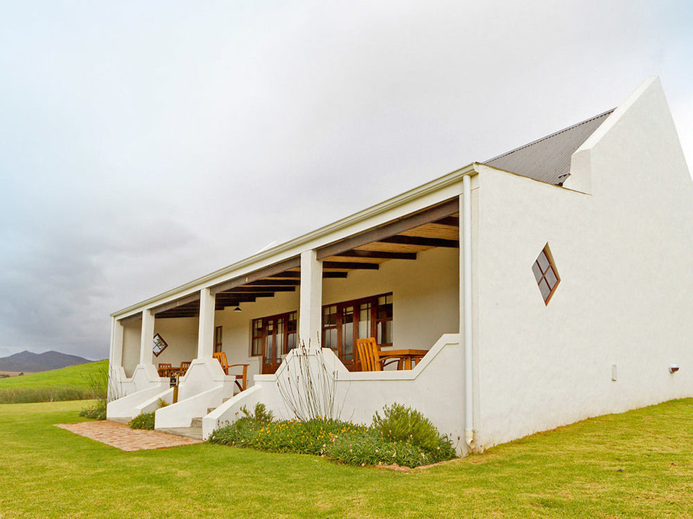 Endless Vineyards At Wildekrans Wine Estate Guest House Botrivier Exterior photo