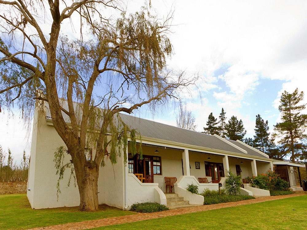 Endless Vineyards At Wildekrans Wine Estate Guest House Botrivier Exterior photo