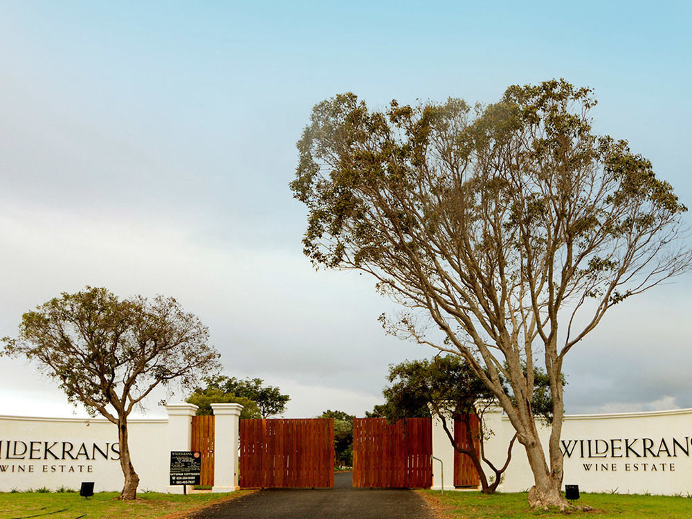 Endless Vineyards At Wildekrans Wine Estate Guest House Botrivier Exterior photo