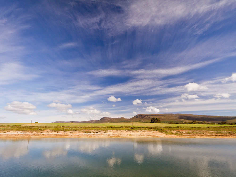 Endless Vineyards At Wildekrans Wine Estate Guest House Botrivier Exterior photo