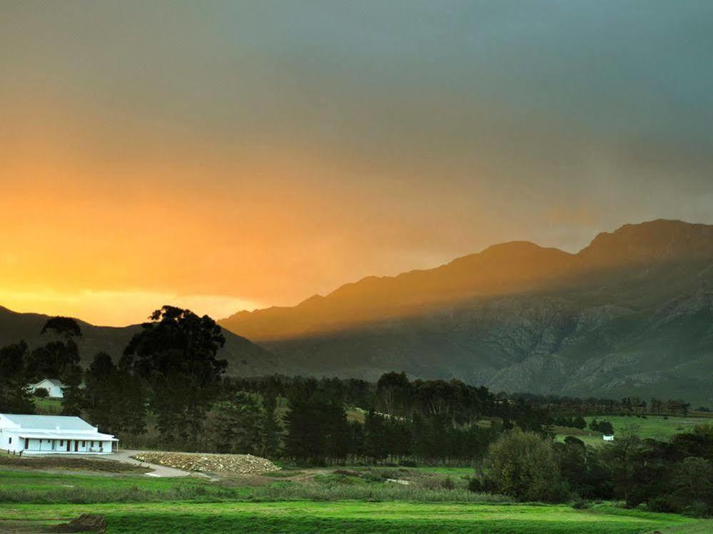 Endless Vineyards At Wildekrans Wine Estate Guest House Botrivier Exterior photo