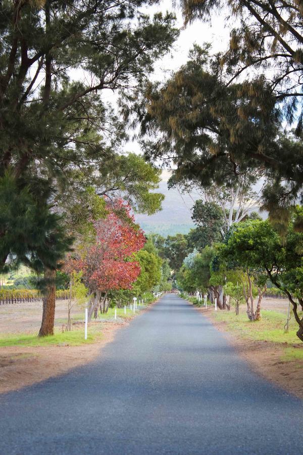 Endless Vineyards At Wildekrans Wine Estate Guest House Botrivier Exterior photo