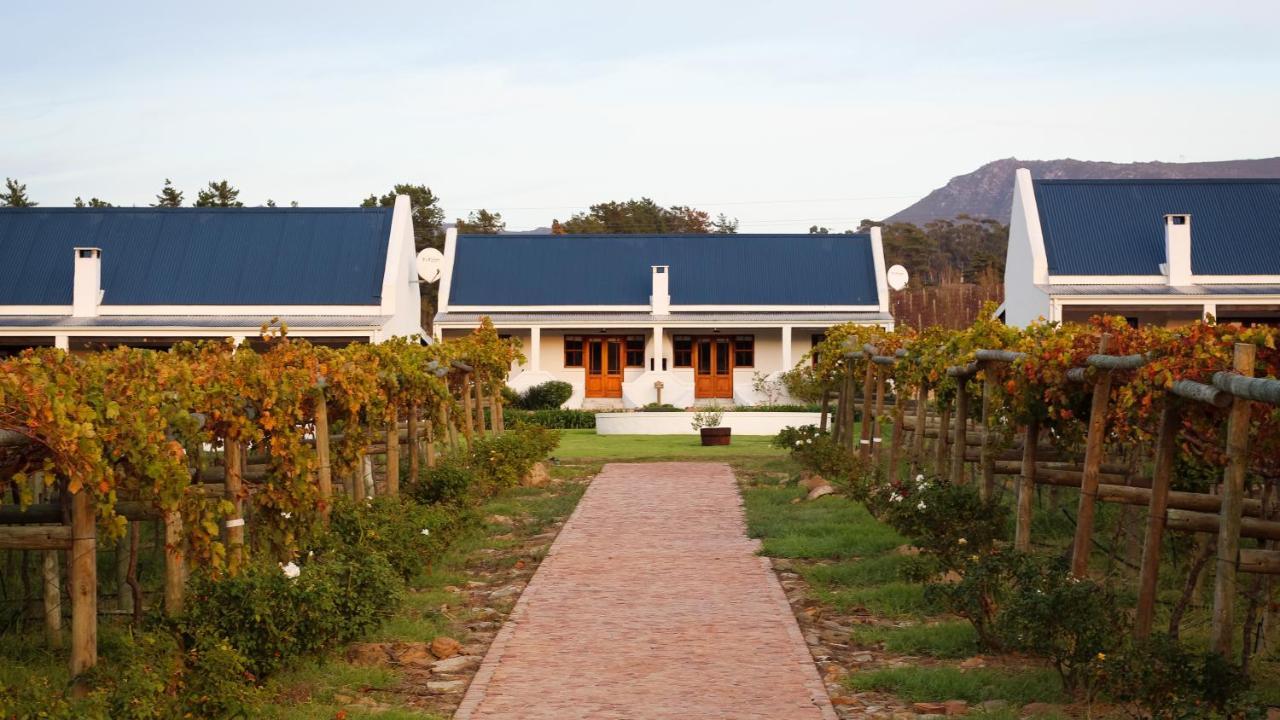 Endless Vineyards At Wildekrans Wine Estate Guest House Botrivier Exterior photo